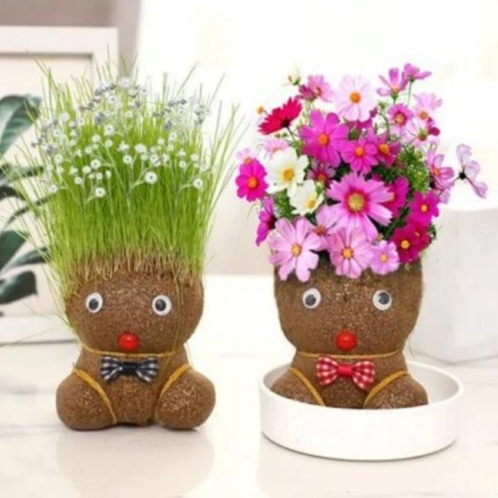 【开花草头娃娃】DIY小草人可爱创意浇水长草植物懒人四季水培