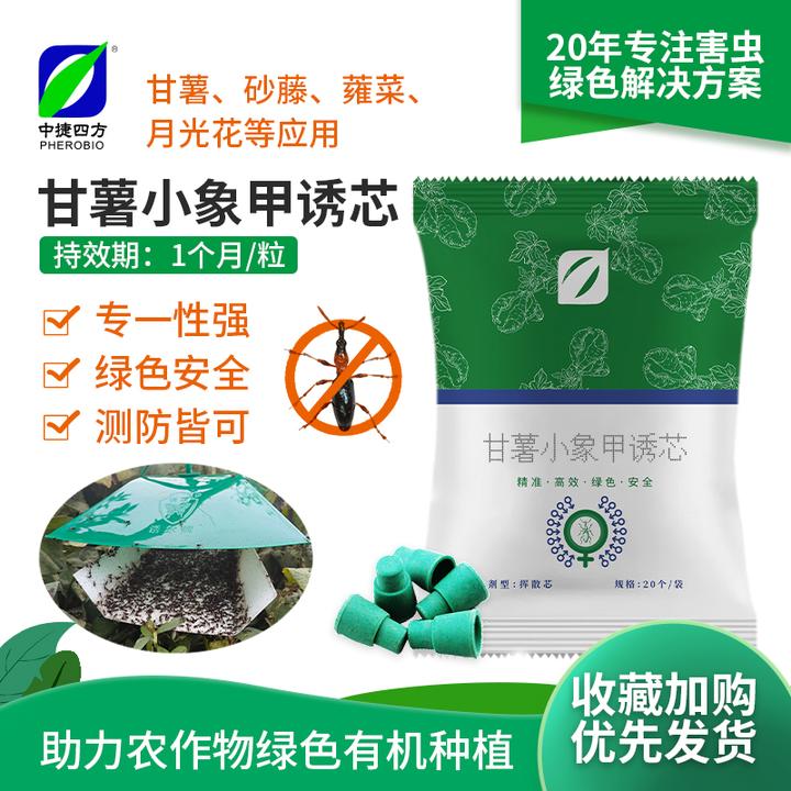 中捷四方甘薯小象甲性诱剂诱捕器 诱芯红薯地