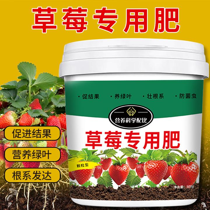 草莓专用肥使用盆栽颗粒缓释营养肥料益生菌坐果期有机复合肥促进