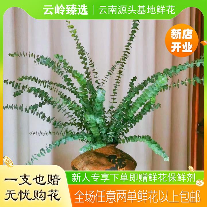 1单中通2单升级空运，低温地区不拍保温棉不售后）通草配花系列