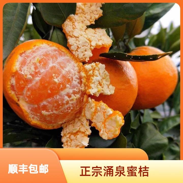 【顺丰包邮】新鲜优选临海正宗涌泉蜜桔宫川当季水果橘子爆浆大果