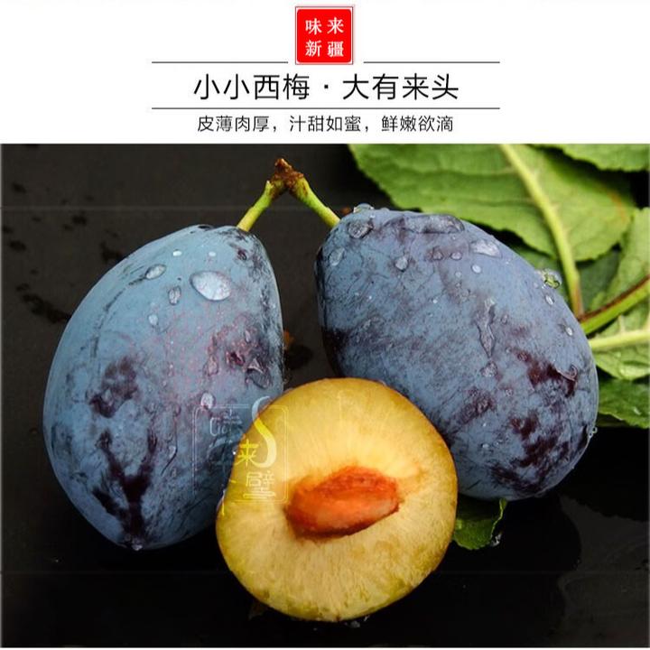 西梅甘肃果园西梅蓝蜜新鲜果园精选好吃现货采摘甜蜜