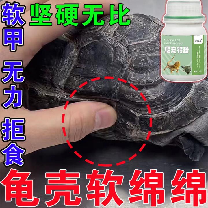 乌龟脖子溃烂疥疮烂脚烂头乌龟腐皮腐甲咬伤乌龟软壳专用爬宠钙粉