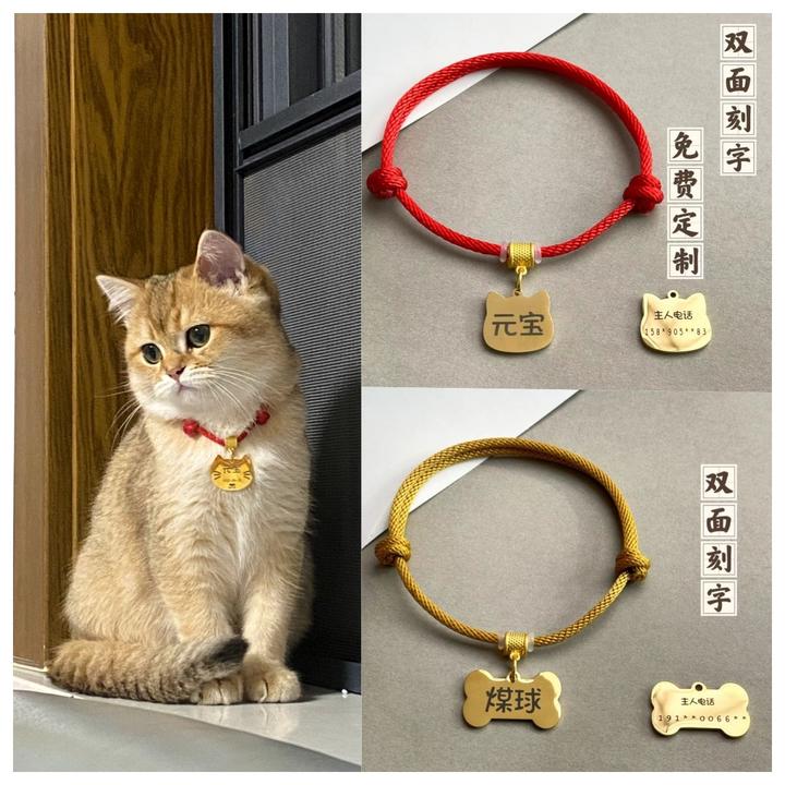 猫咪狗狗项圈可调节定制宠物防走丢牌猫咪项圈中小犬泰迪宠物饰品