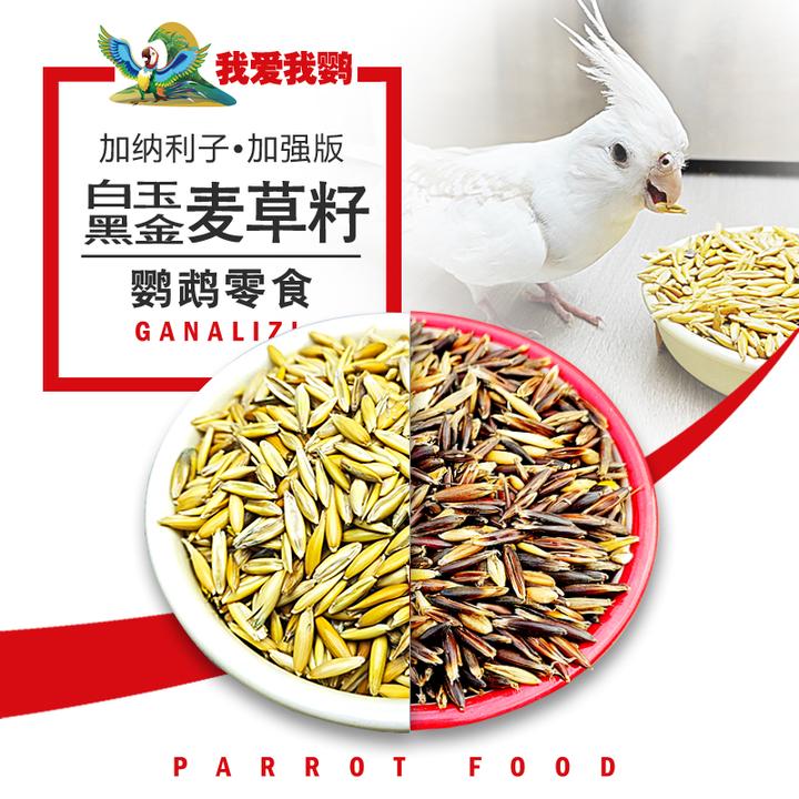 双色麦草籽虎皮玄凤牡丹和尚小太阳鹦鹉零食鹦鹉食粮鹦鹉鸟粮