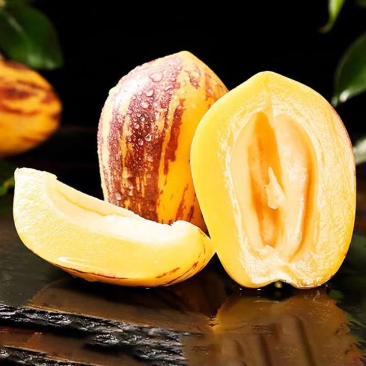 甘肃民勤沙漠人参果净重4.5斤大果（单果150-450g） 坏果包赔