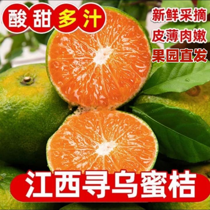 江西赣南寻乌蜜橘现摘皮薄无籽青皮蜜橘孕妇新鲜应季水果酸酸甜甜