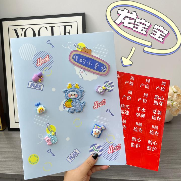 【启萌 】孕检册蛇宝龙宝孕妈妈产检收纳本插入便携资料册防水文件