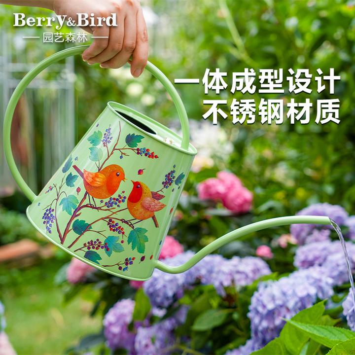 Berry&Bird长嘴浇花水壶家用花卉盆栽多肉洒水壶高颜值园艺摆件2L