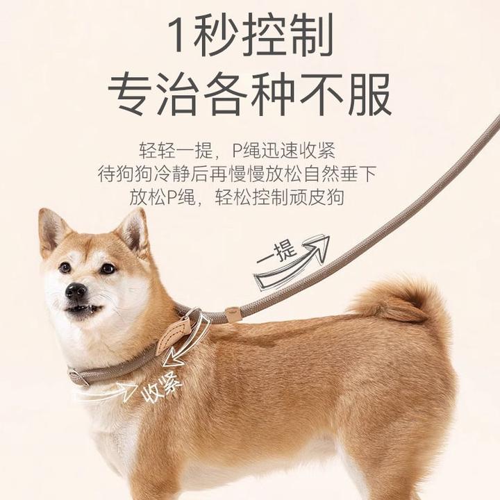 狗狗牵引绳防爆冲P链遛狗绳子防挣脱狗链子中大型犬防爆冲拴狗绳