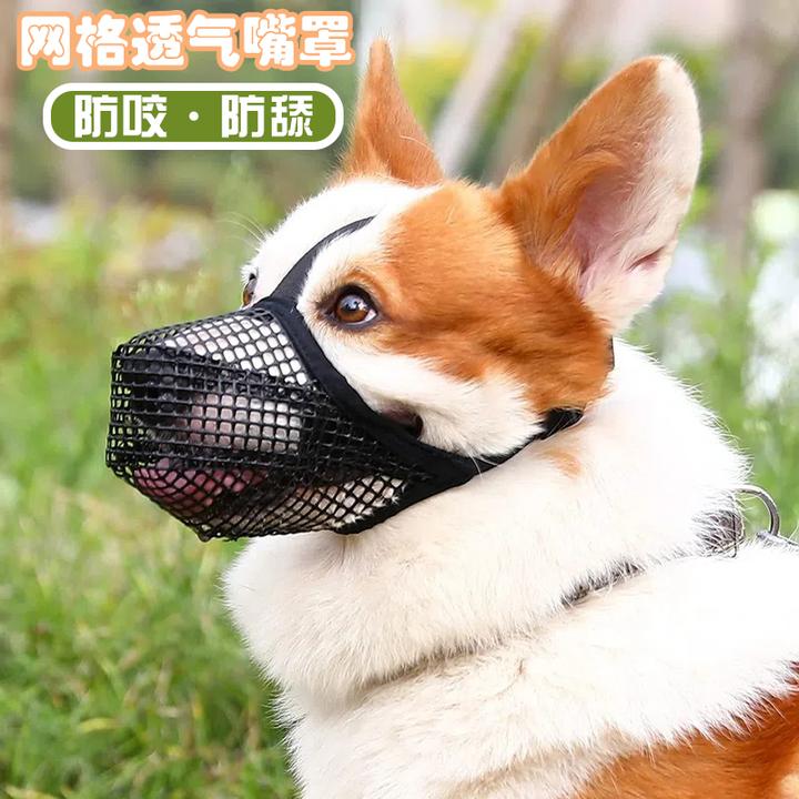狗狗嘴套防咬叫神器小狗防乱吃泰迪柯基马犬大小型犬狗用宠物口罩