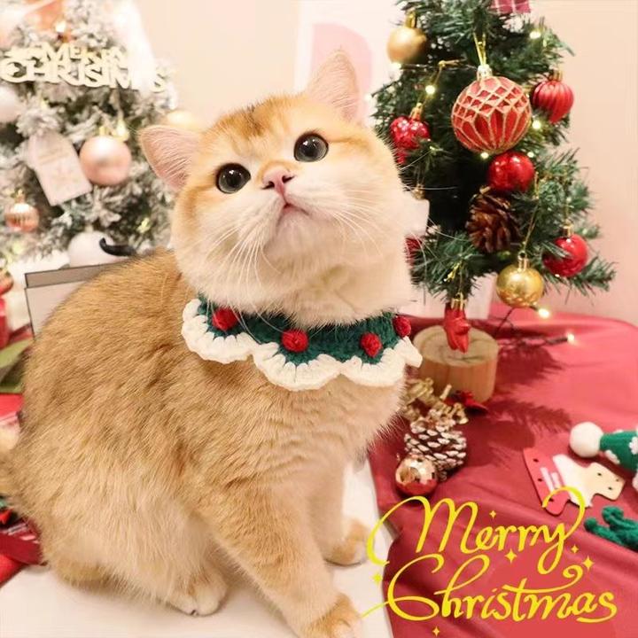 猫咪项圈围脖狗狗围巾宠物圣诞节新年毛线手工编织饰品围嘴可爱