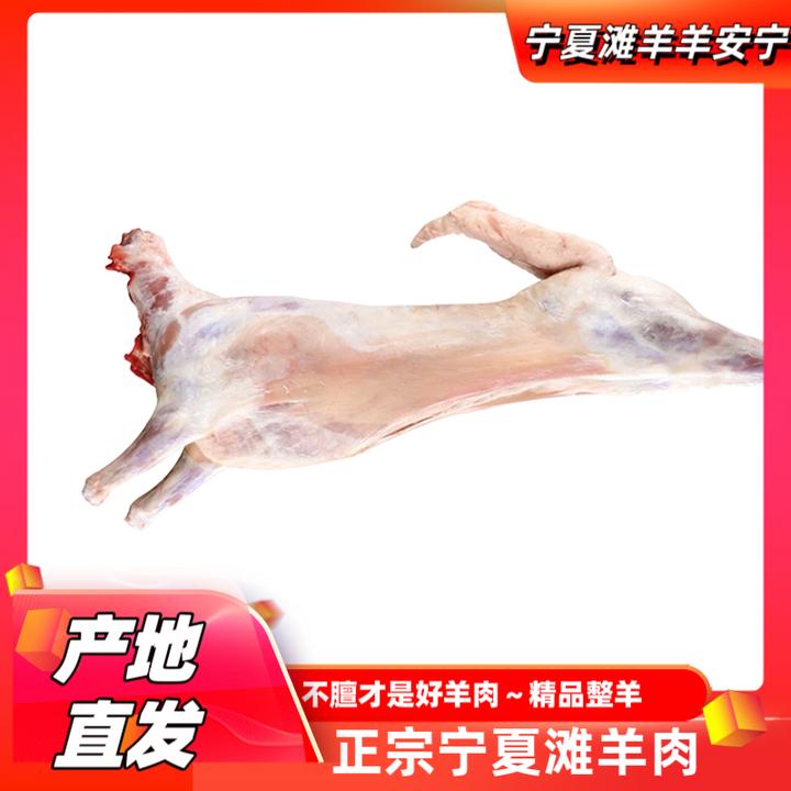 羊肉整只羊正宗宁夏滩羊肉新鲜羊羔肉现宰现发去脂好吃鲜嫩可口
