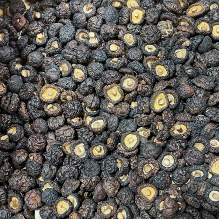 高山种植香菇干度好煲汤炒菜焖肉干货香菇本地香菇