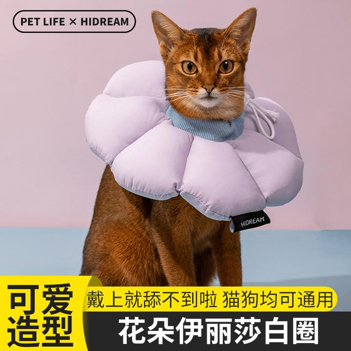hidream猫咪软头套绝育花朵宠物防水防舔脖圈伊丽莎白圈防舔脖圈