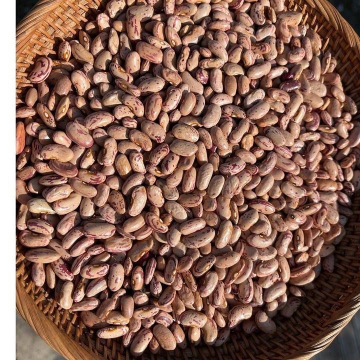 东北黑土地紫花白芸豆1000克2500克