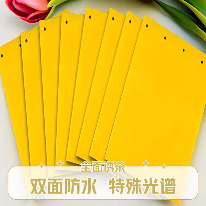 双面防水农业粘虫黄板园艺诱虫灭虫篮板果园大棚粘板诱虫粘蓟马