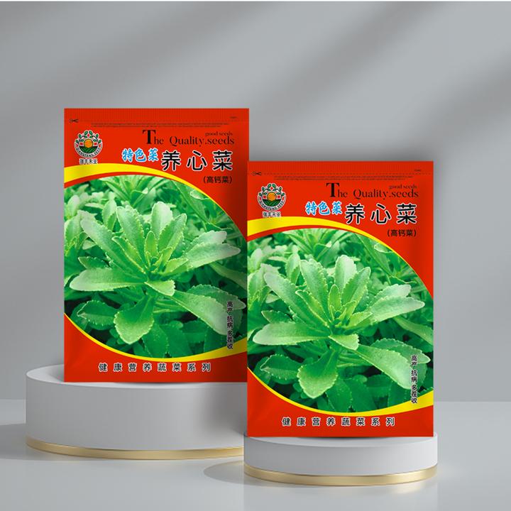 【连续采收】养心菜种子高钙救心菜室外可盆栽退三高植物蔬菜籽