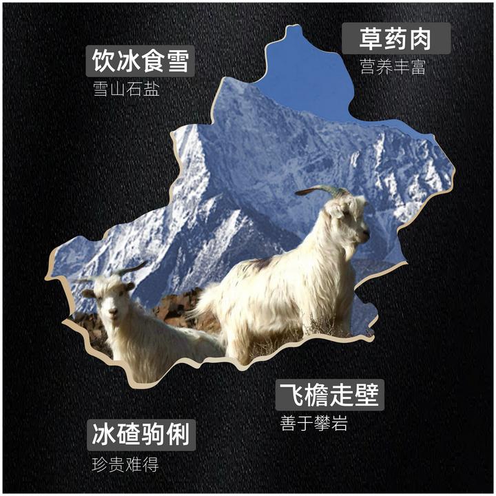 【新疆小羔羊礼盒】冰碴驹俐5斤装羊排羊蝎子羊脖子后腿前腿各1斤