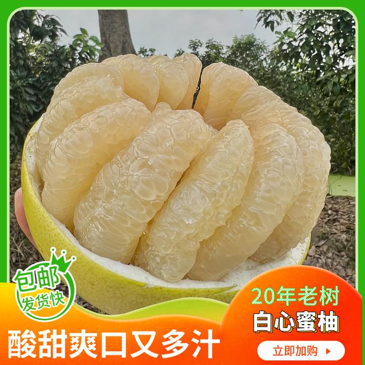 【精品果】正宗福建柚子产地直发孕妇水果白柚黄金酸甜比口感清甜