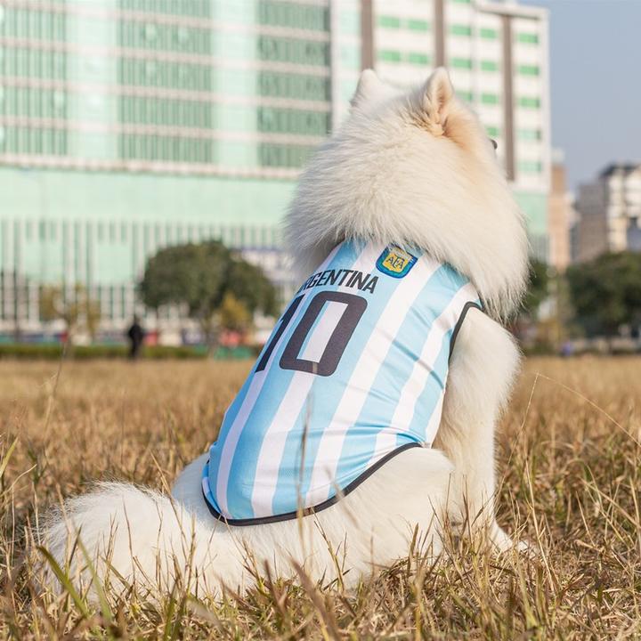 10号阿根廷狗狗球衣梅西透气夏天金毛拉布拉多中型大型犬狗狗多色