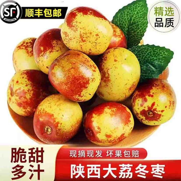 【清早采摘】现摘发货新鲜冰糖枣子冬枣新鲜当季水果甜脆鲜枣