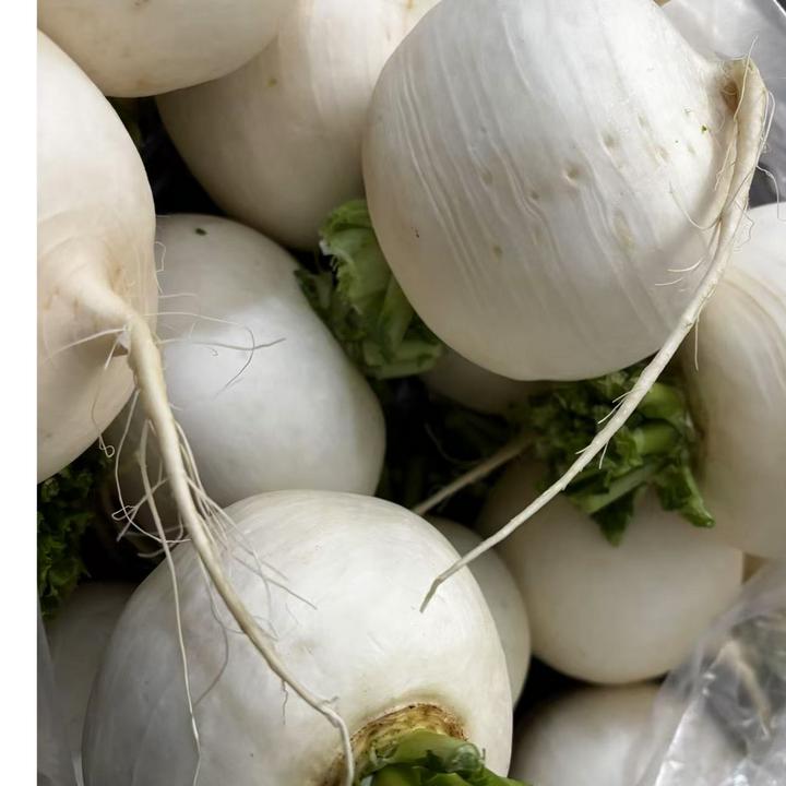 5斤8斤新鲜四川圆白萝卜春不老跳水萝卜当天带泥泥现拔现发农家