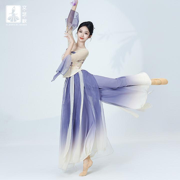 秋冬新款古典舞蹈服飘逸女中国舞纱衣改良襦裙汉服唐风练功演出服