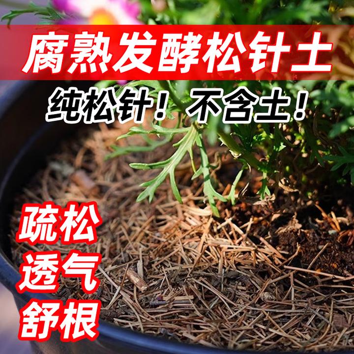 纯松针腐殖发酵腐熟专用养花天然松针腐叶营养土种菜育苗松针土