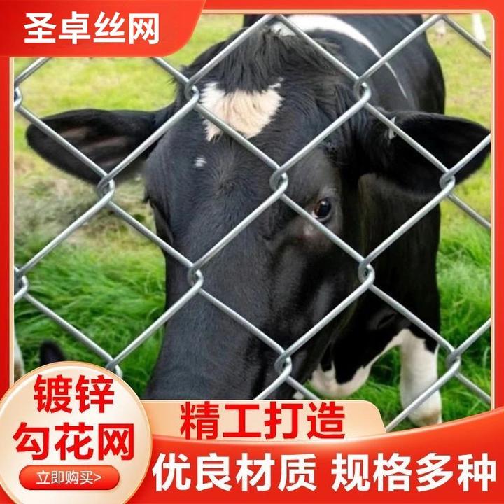 热镀锌勾花网铁丝网护栏围栏用于养鸡养殖果园防护不生锈钢丝批发