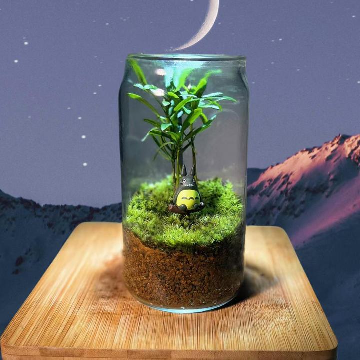 罗汉松苔藓龙猫耐活生态瓶办公室创意高端微景观造景