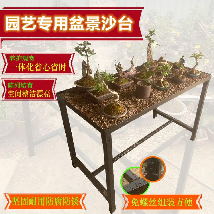 园艺专用盆景沙台养护专用一体化大沙盘陈列培育空间整洁保湿