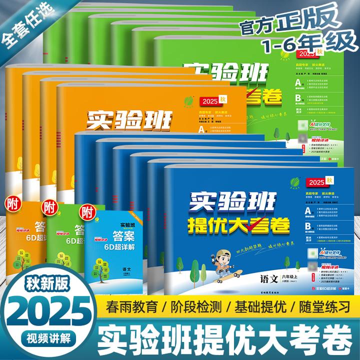 25秋春雨教育实验班提优大考卷100分人教版训练同步测试卷