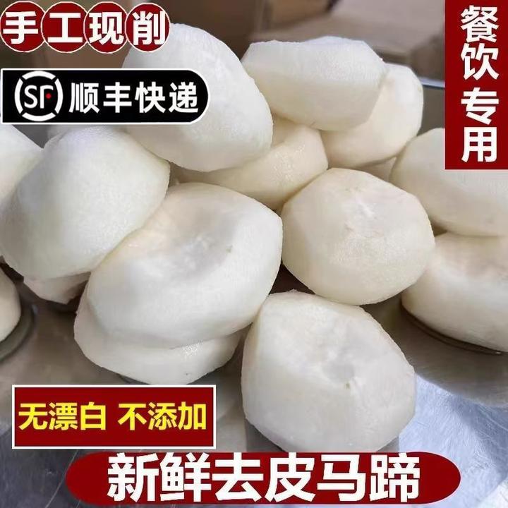 顺丰包邮2025新果【去皮马蹄】蔬菜水果馅料火锅料马蹄地栗商用批发