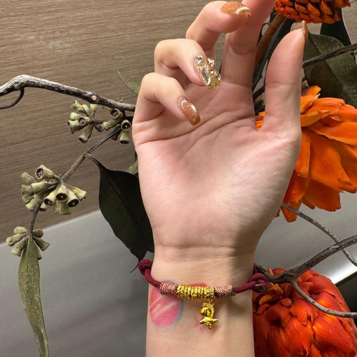 CHUANSHE/传奢 马年本命年手工编织手绳吊坠小马情侣红绳款DD504