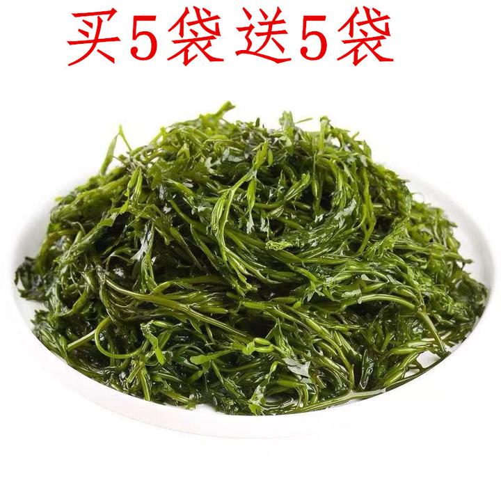 【太便宜了】鞭炮笋新鲜盐渍马尾藻海藻火锅火炮菜长寿菜产品批发
