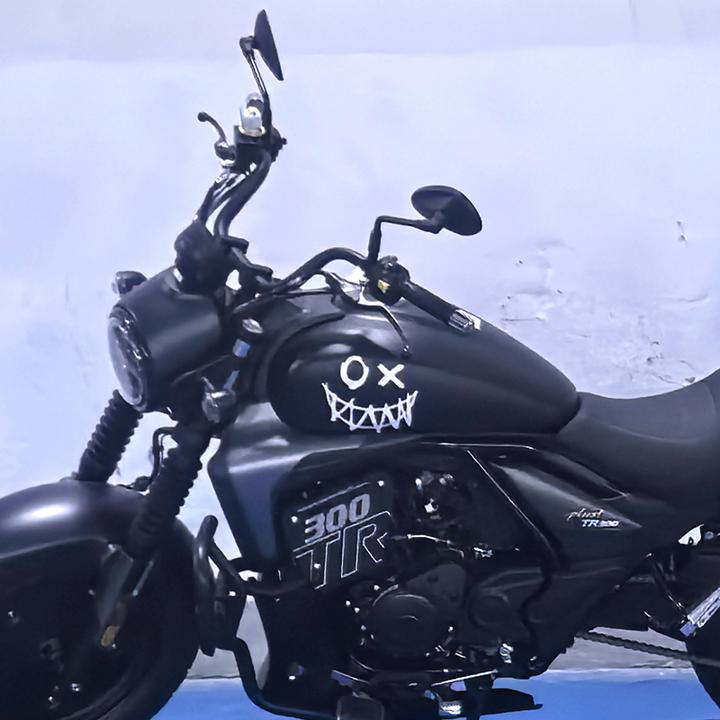 适用于豪爵TR300贴纸拉花摩托车油箱装饰贴个性贴花防水反光车贴