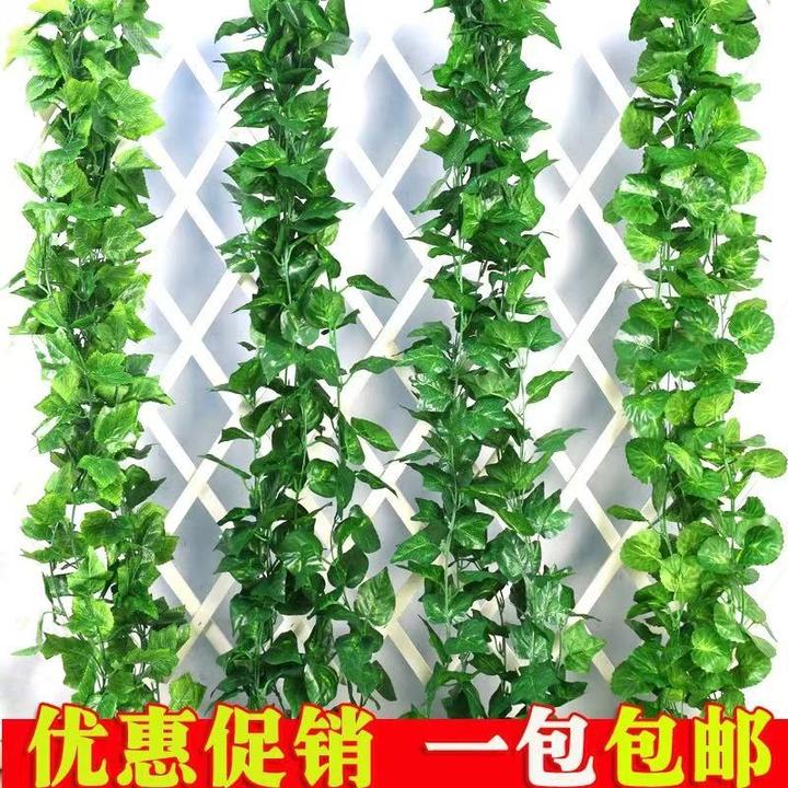 仿真藤条葡萄叶装饰假树叶绿藤藤蔓塑料花藤水管道遮挡空调绿叶花