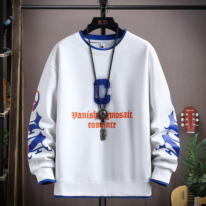 殿若秋冬套头长袖宽松长袖卫衣男潮流青少年上衣潮牌韩版圆领上衣