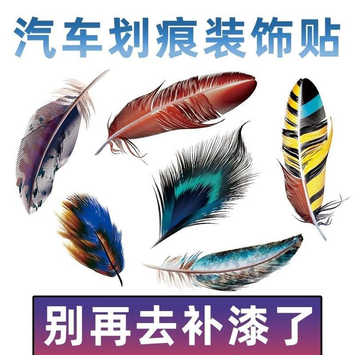 汽车创意个性羽毛3D立体贴纸装饰车门身尾划痕遮挡