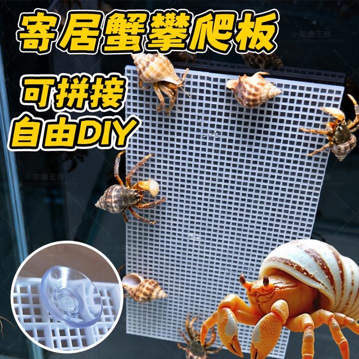 寄居蟹爬台爬梯豆丁辣椒蟹爬架鱼缸螃蟹爬台乌龟晒台隔离板攀爬藤