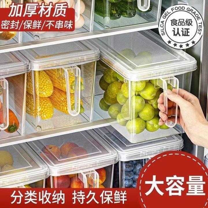 食品级冰箱收纳盒保鲜盒蔬菜水果专用整理塑料带手柄鸡蛋盒JST225