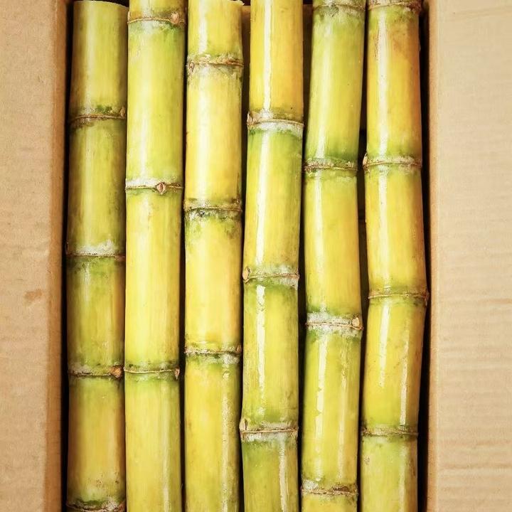 【黄金甘蔗】云南新鲜黄金甘蔗当季水果清甜多汁产地直发