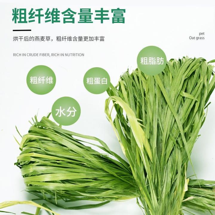 【口感甜丝丝】烘干燕麦草兔兔龙猫荷兰猪牧草兔子磨牙饲料兔子草