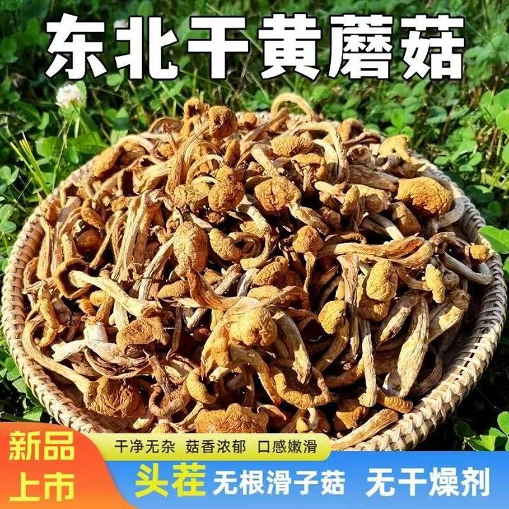 【咱们村专属】东北干货滑子菇小黄蘑菇精调细选干净无沙250克/袋