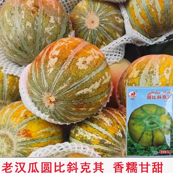 【老汉瓜种子】四季蔬菜田园庭院种植天然食用粉丝薄皮正品蔬菜种籽