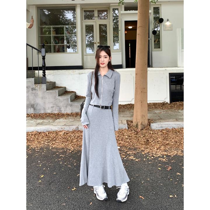 灰色复古休闲套装女秋季2025新款翻领拉链开衫高腰垂感长裙两件套
