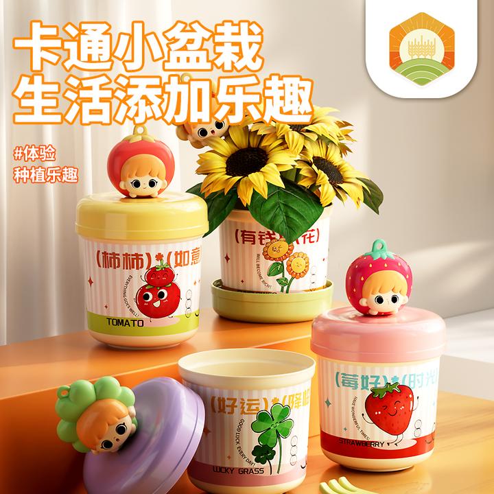 秋谷儿童种植盆栽幼儿园小学生观察植物生长DIY发芽迷你手工套装