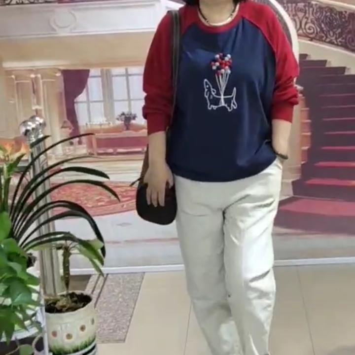 大码女装，上衣——8372号