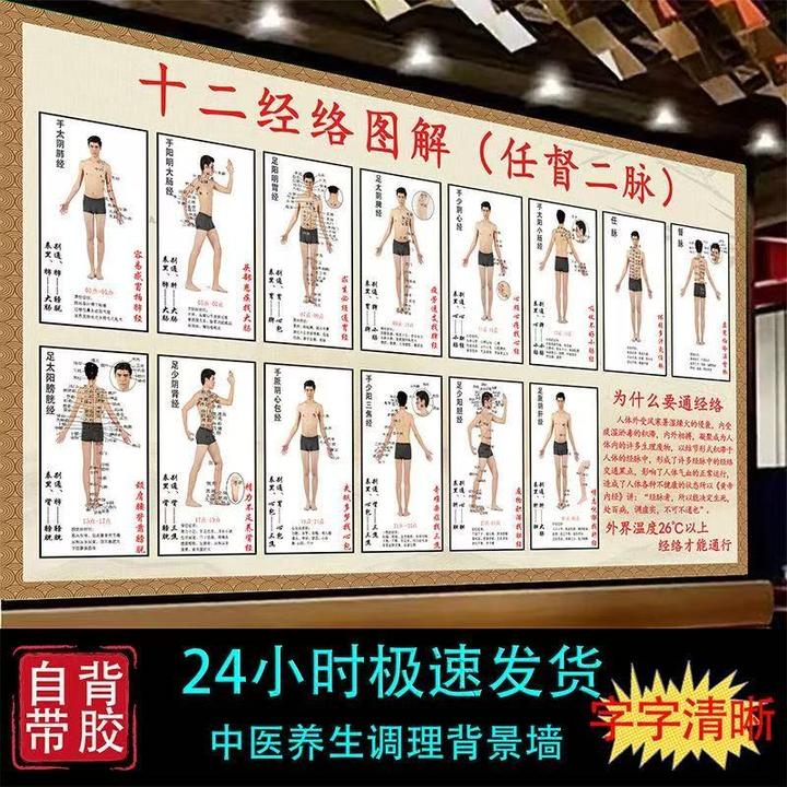 十二经络及任督二脉穴位图人体穴位图经络海报中医养生馆海报贴画
